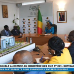 Strategic Partnership in Congo-Brazzaville: CDI-A (OIDEH) Engages Partners for Key Entrepreneurship and Handicraft Projects
